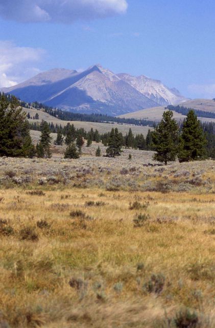 Electric Peak Picture