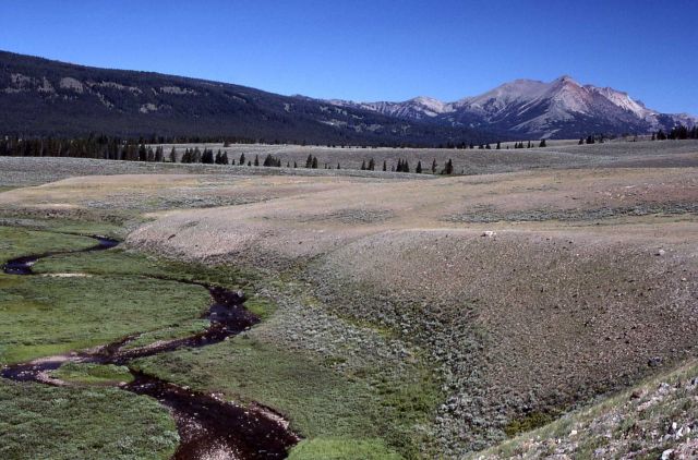 Gardner River & Gardner hole with Electric Peak in the background Picture