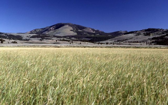 Swan Lake Flats & Sepulcher Mountain Picture