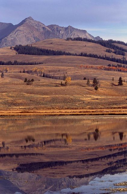 Electric Peak & reflection in Swan Lake Picture