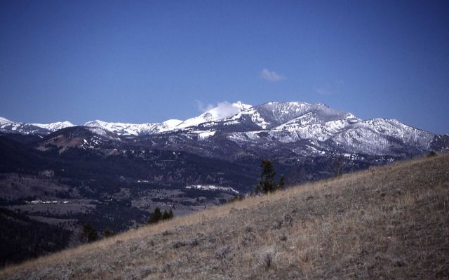 Gallatin Mountains as seen from Mt Everts Picture