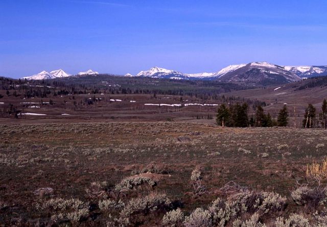 Gallatin Mountain Range as seen from Blacktail Picture