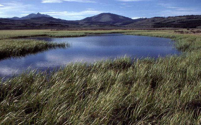 Swan Lake Flats Picture