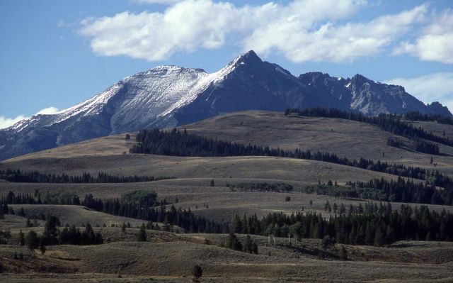 Electric Peak Picture