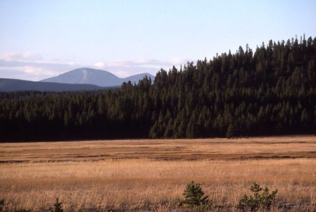 Mt Holmes Picture
