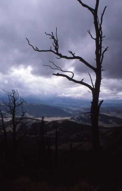 On Bighorn Peak Picture