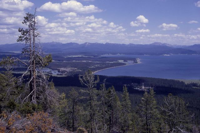 Fishing brdige area from Elephant Back Picture