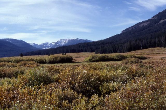 Thorofare country near Yellowstone River crossing Picture