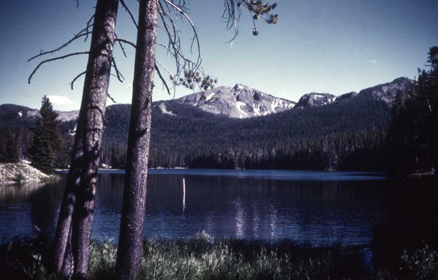 Sylvan Lake & vicinity Picture