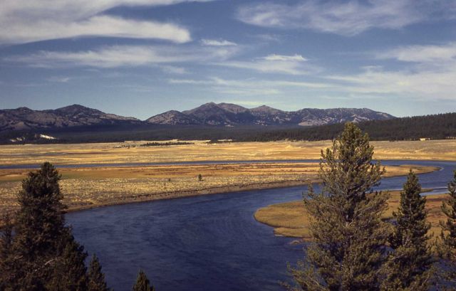 Hayden Valley & the Yellowstone River Picture