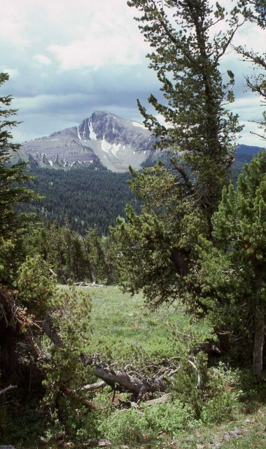 Mt Doane Picture
