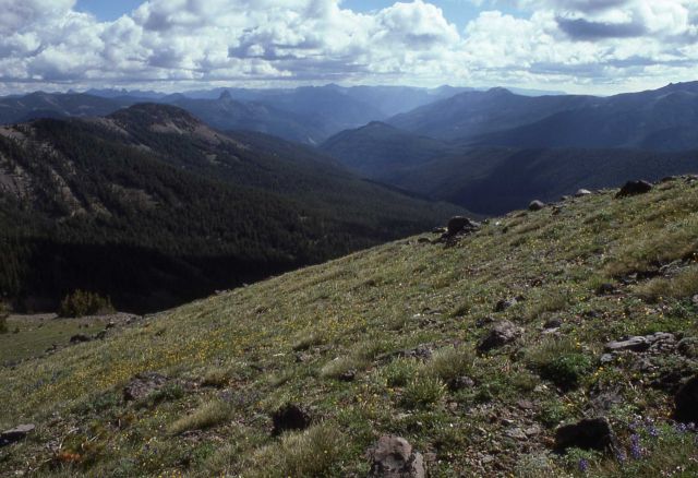 Sylvan Pass area Picture