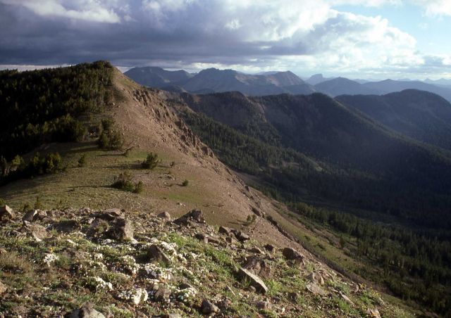 South of Top Notch looking North Picture