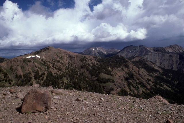 Topnotch, Avalanche and Hoyt Picture