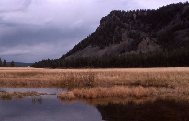 Madison Junction Area Picture
