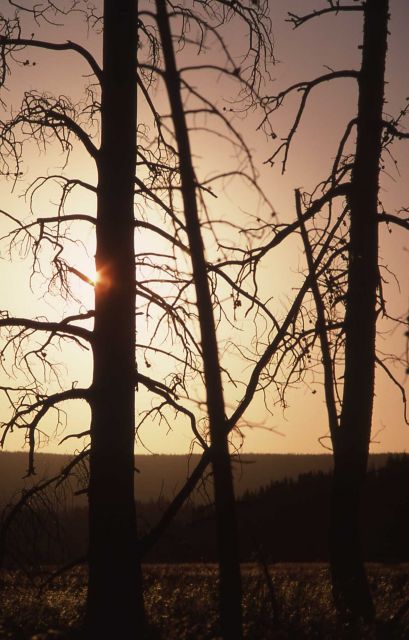 Fountain Flats Picture