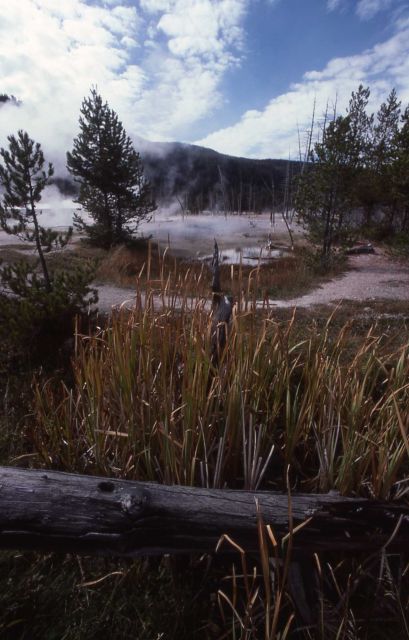 Black Sand Basin Picture