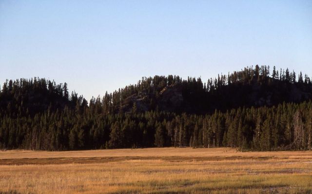 Pocupine Hills Picture