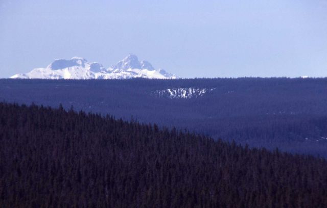 Tetons from Shoshone Point Picture