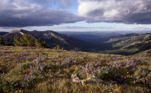 Rock Creek Drainage Picture
