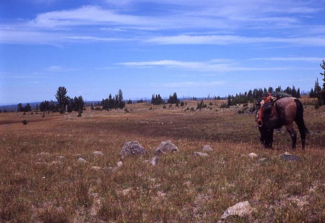 Pitchstone Plateau Picture
