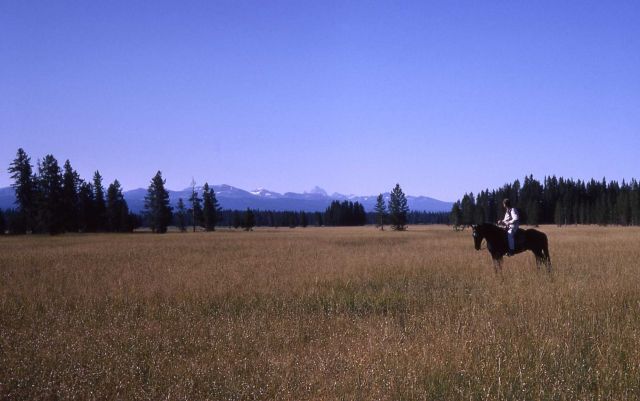 Bechler Meadow Picture
