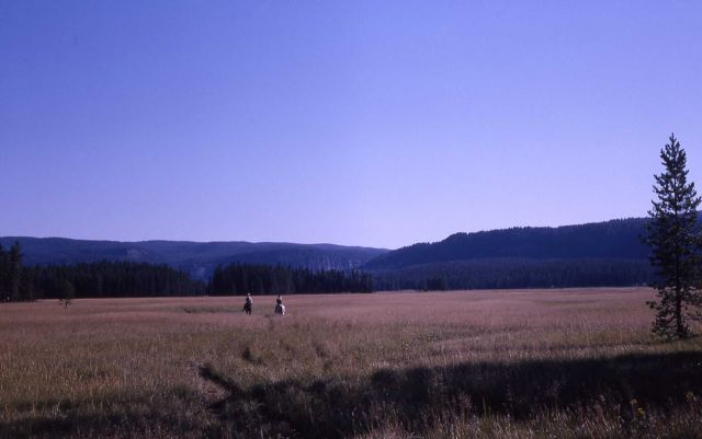 Bechler Meadow Picture