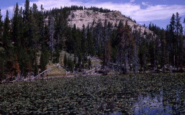 Twin Butte Picture