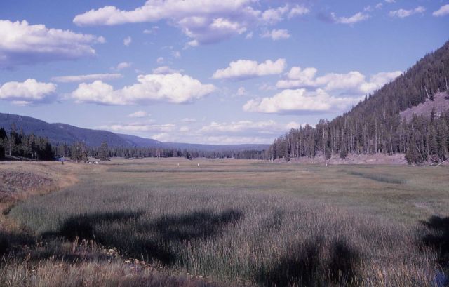 Madison Junction Area Picture