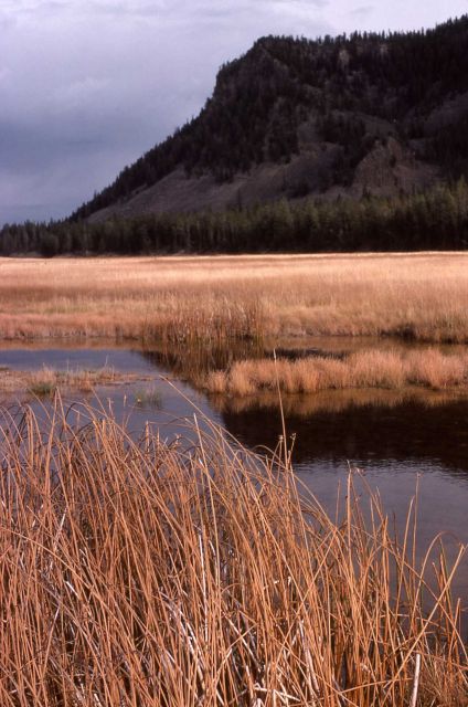 Madison Junction Area Picture