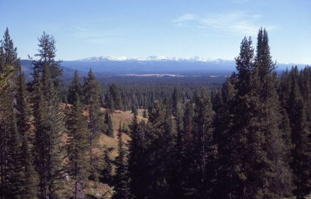 Teton Mountains from Bechler Picture