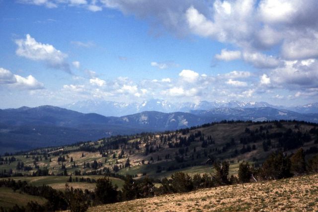 Tetons as seen from Big Game ridge Picture