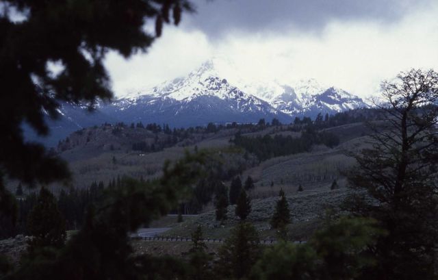 Pilot and Index Peaks as seen from Beartooth Highway Picture