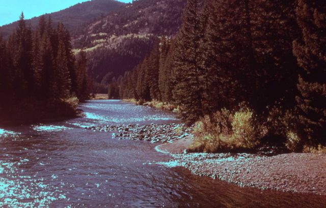 Gallatin Canyon in fall Picture