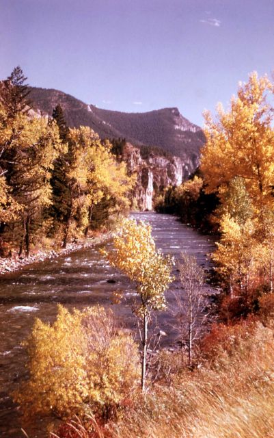 Gallatin Canyon in the fall Picture