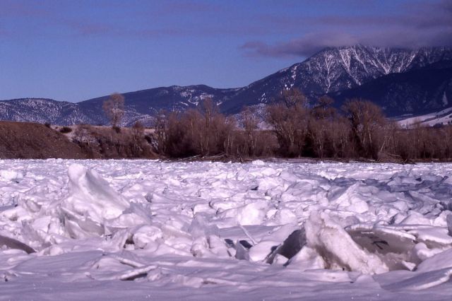 Ice jam on Yellowstone River in Paradise Valley Picture