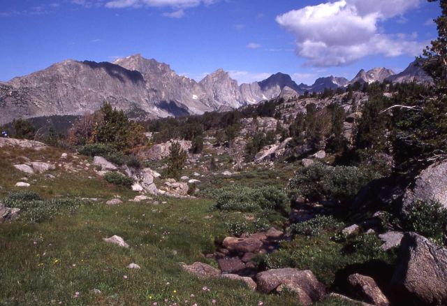 Washakie Trail, Wind River Range, Bridger Wilderness, Bridger National Forest, Wyoming Picture