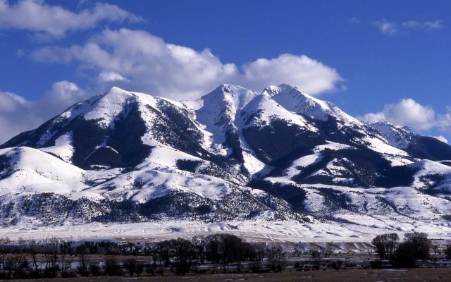 Emigrant Peak in winter Picture