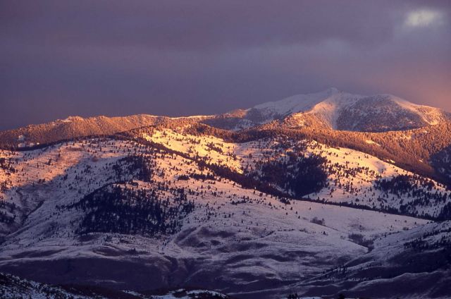 Sheep Mountain in winter Picture