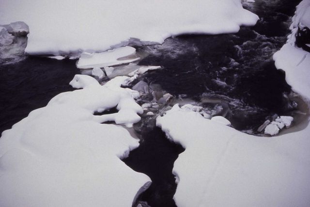 Ice on Yellowstone River Picture