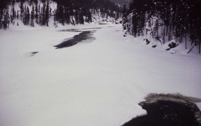 Ice on Yellowstone River Picture