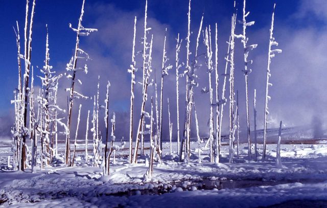 Winter in the Norris area Picture