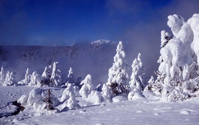 Winter in the Norris area Picture