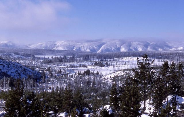 Gibbon River near Norris Geyser Basin looking southwest in the winter Picture