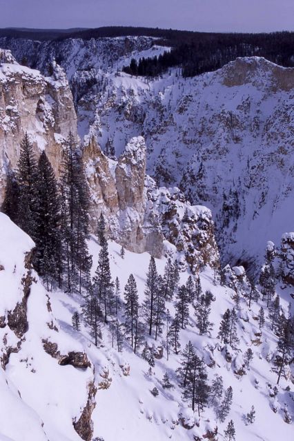 Winter view looking down the Grand Canyon of Yellowstone as seen from Lookout Point Picture