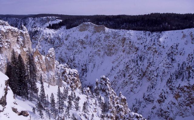 Winter view looking down the Grand Canyon of Yellowstone as seen from Lookout Point Picture