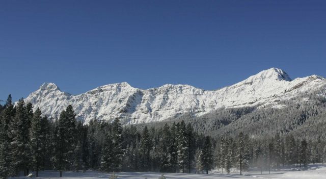 Barronette Peak in winter Picture