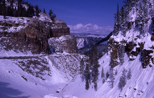 Golden Gate in the winter Picture