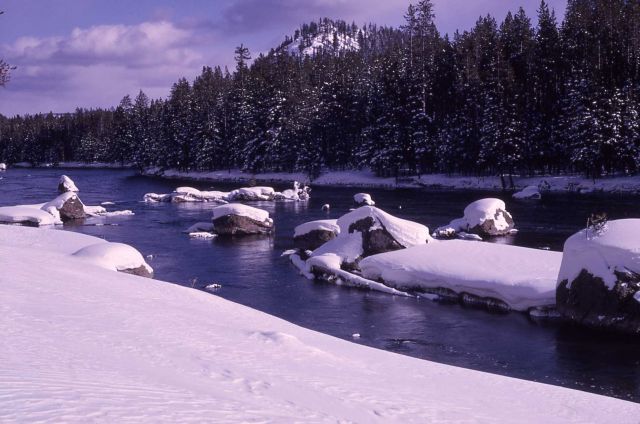 Madison River in the winter with snow Picture