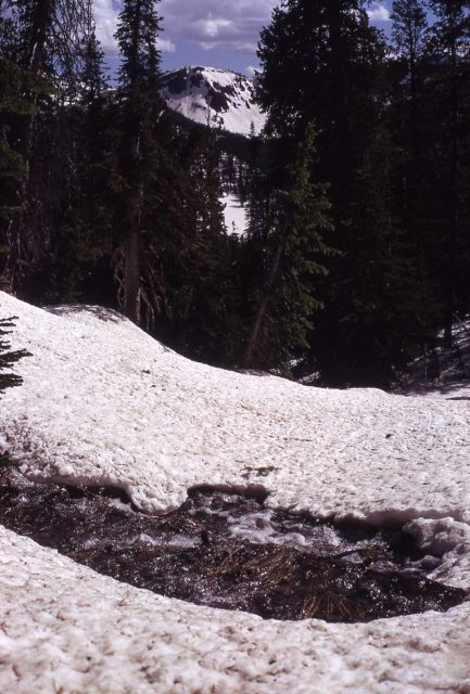 Stream melting through winter ice field Picture